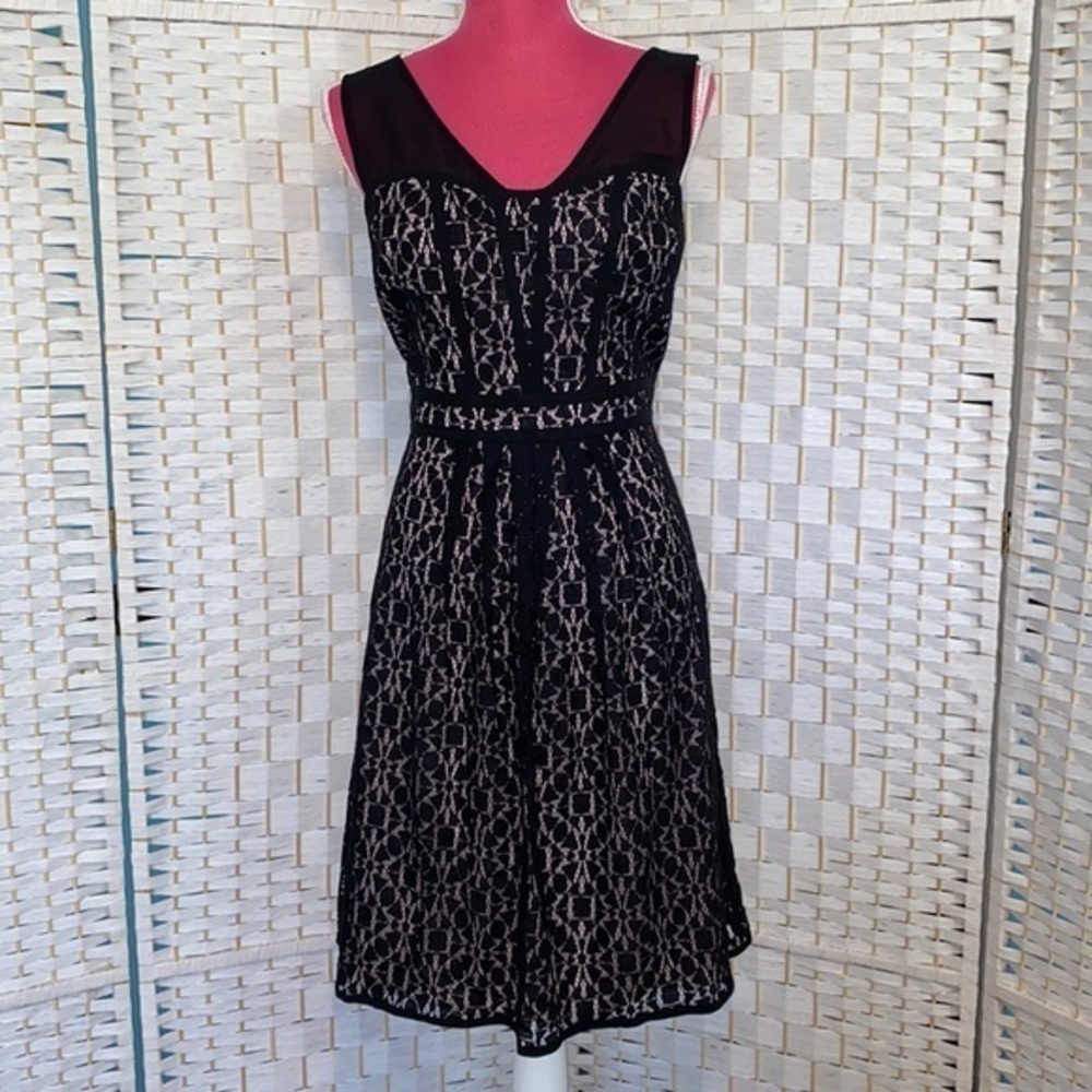 Adrianna Papell Sweetheart Sheer Fit and Flare Dress Size 10